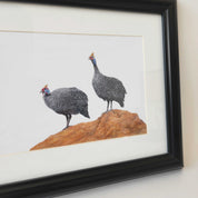 A pair of guinea fowl pencil artwork framed, by South African wildlife nature artist Matthew Bell