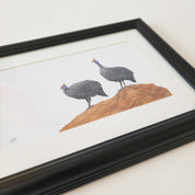 A pair of guinea fowl pencil artwork framed, by South African wildlife nature artist Matthew Bell