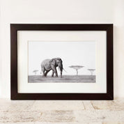 Bull African elephant in the Serengeti artwork with a brown frame