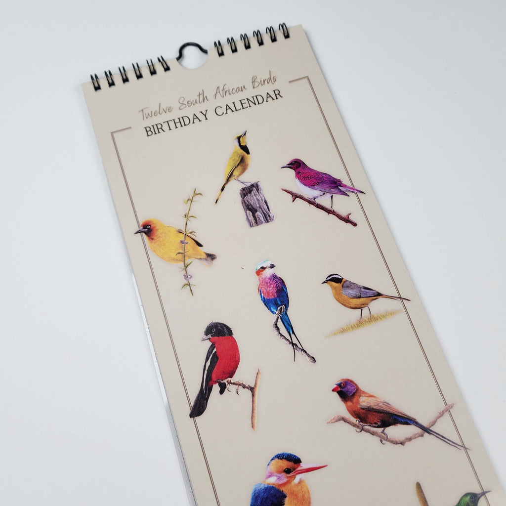 South African Birds art perpetual reusable birthday calendar by wildlife artist Matthew Bell