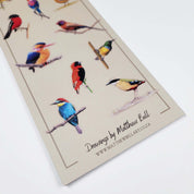 South African Birds art perpetual reusable birthday calendar by wildlife artist Matthew Bell