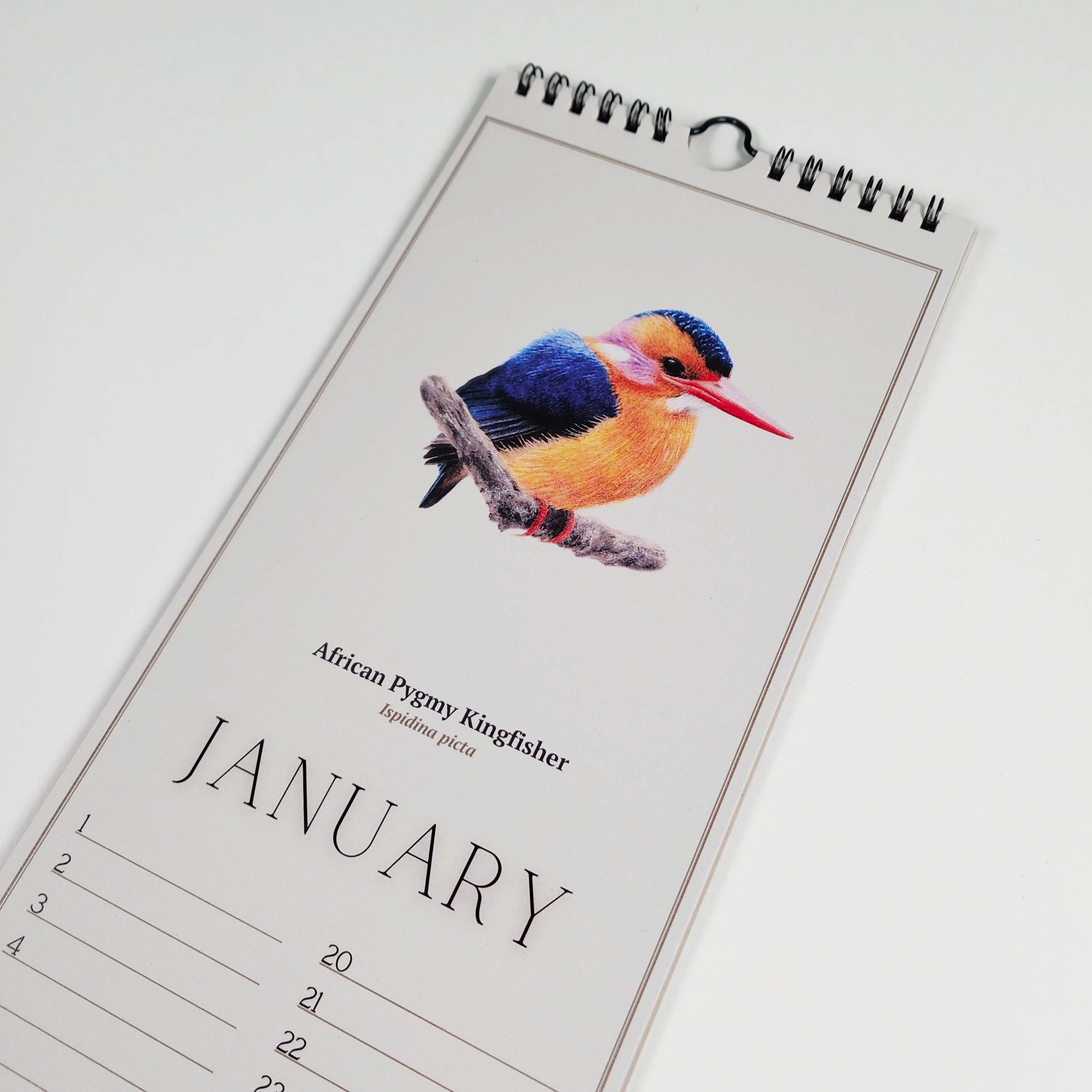 South African Birds art perpetual reusable birthday calendar by wildlife artist Matthew Bell