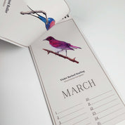 South African Birds art perpetual reusable birthday calendar by wildlife artist Matthew Bell