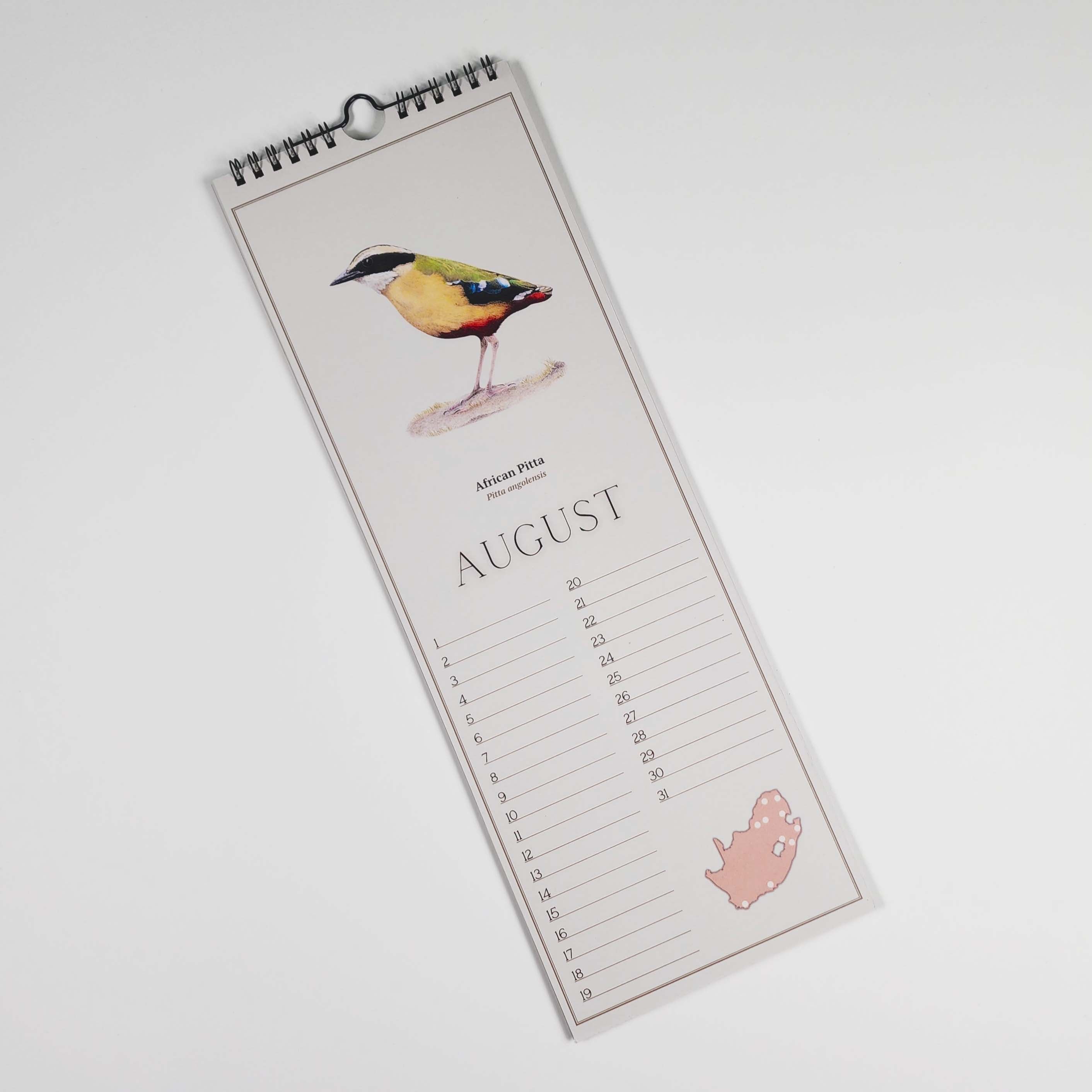 South African Birds art perpetual reusable birthday calendar by wildlife artist Matthew Bell