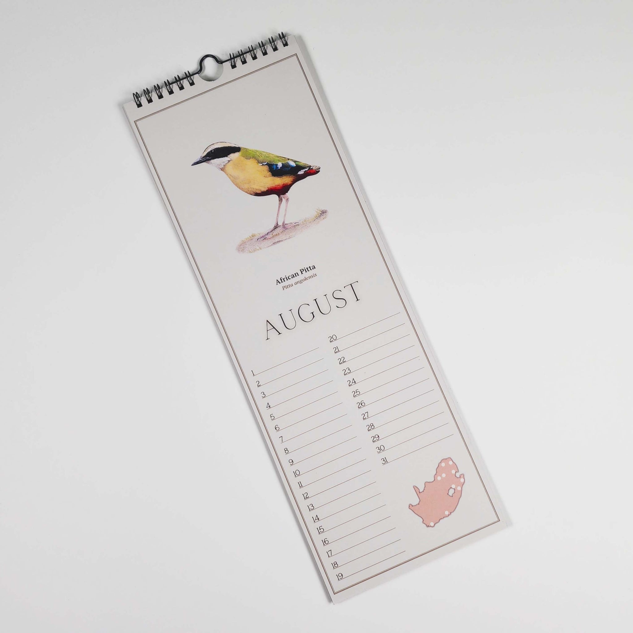 South African Birds art perpetual reusable birthday calendar by wildlife artist Matthew Bell