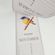 South African Birds art perpetual reusable birthday calendar by wildlife artist Matthew Bell