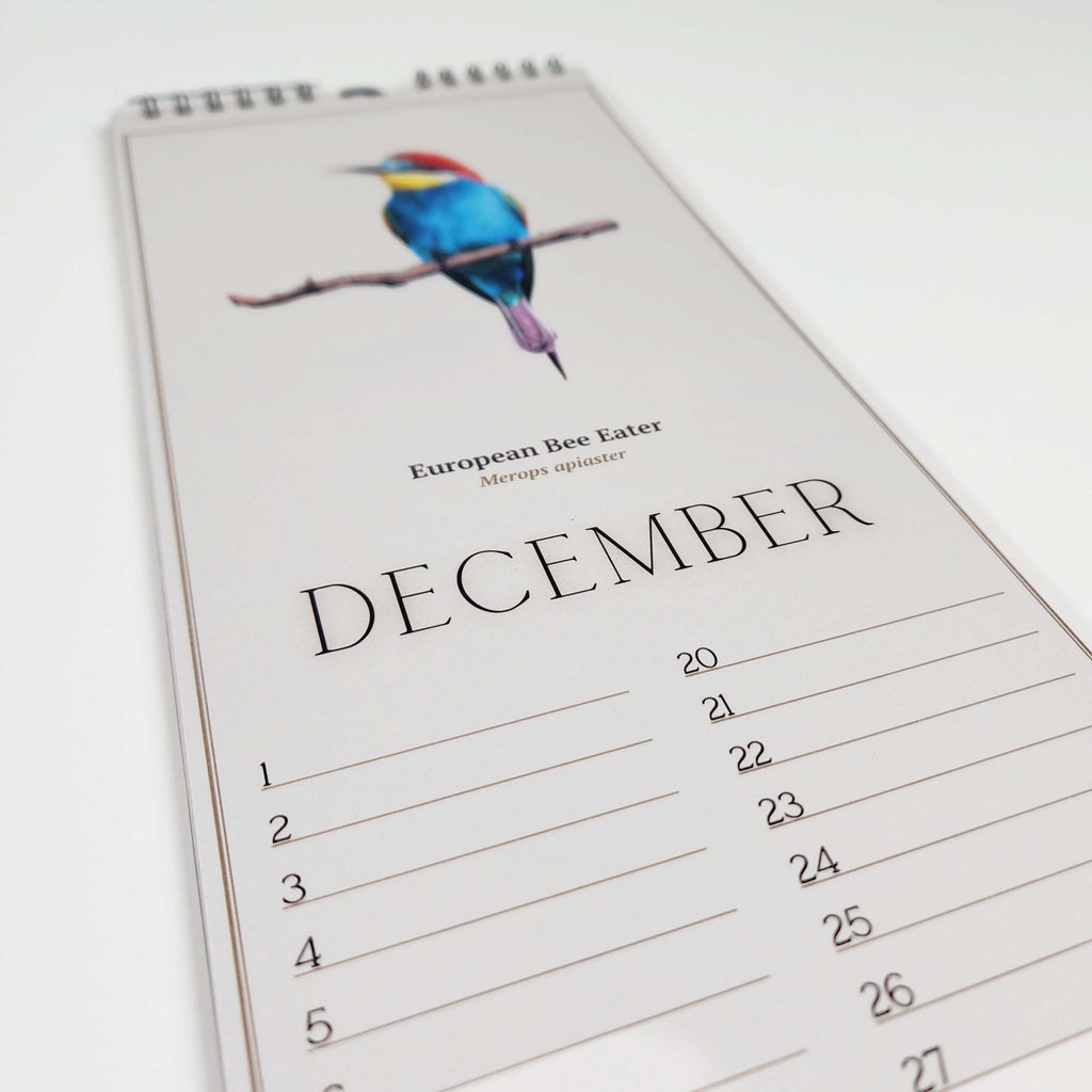 South African Birds art perpetual reusable birthday calendar by wildlife artist Matthew Bell