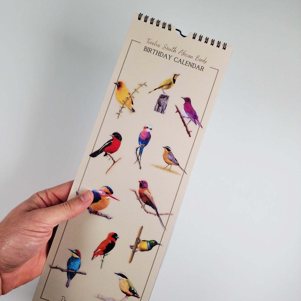 South African Birds art perpetual reusable birthday calendar by wildlife artist Matthew Bell