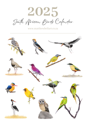 2025 premium quality South African birds hanging wall calendar showing wildlife artwork by artist Matthew Bell including Red Billed Hornbill, Lesser Striped Swallow, Saddle Billed Stork, Crowned Lapwing, Violet Backed Starling, Grey Headed Bush Shrike, African Pitta, Marico Sunbird, Blue Cheeked Bee Eater, African Pygmy Kingfisher, Cape Weaver, Wood Owl