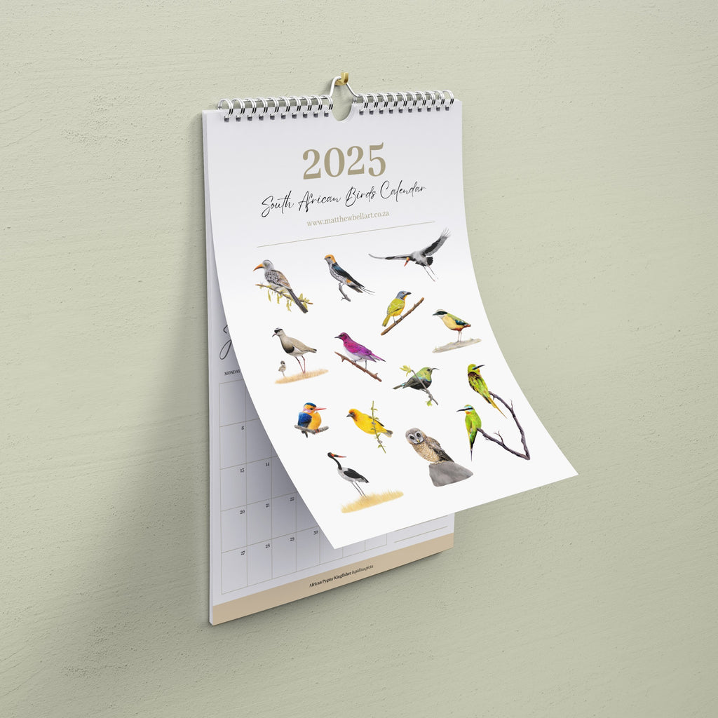 2025 Animal Wildlife hanging year wall calendar - local birds of South Africa