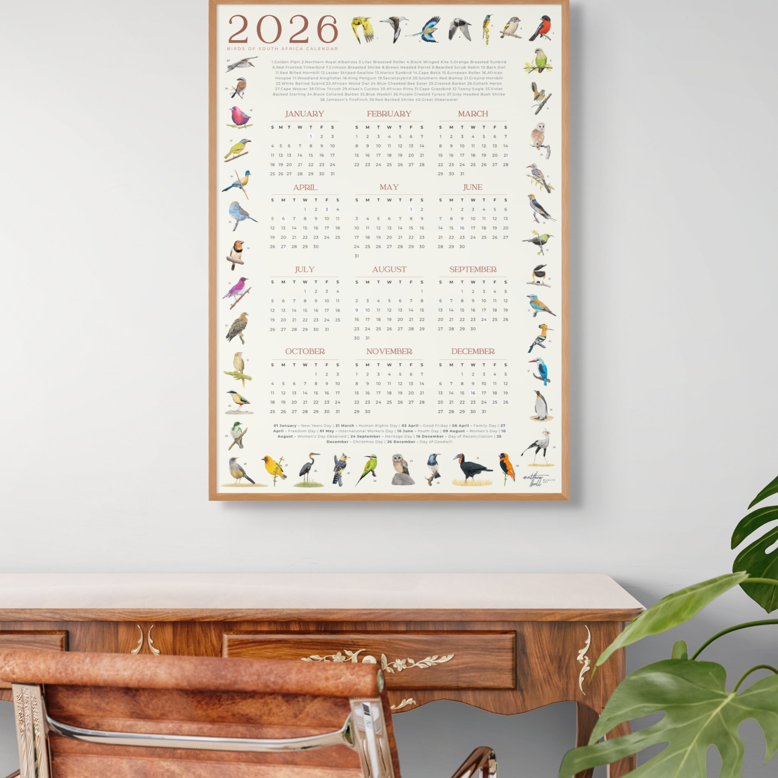 2026 South African bird calendar poster featuring hand-drawn illustrations of 40 native bird species surrounding a clean, minimalist yearly calendar layout on an A2 sheet2026 Suid-Afrikaanse voëlkalender-plakkaat met handgetekende illustrasies van 40 inheemse voëlspesies rondom ’n netjiese, minimalistiese jaarlikse kalenderuitleg op ’n A2-vel