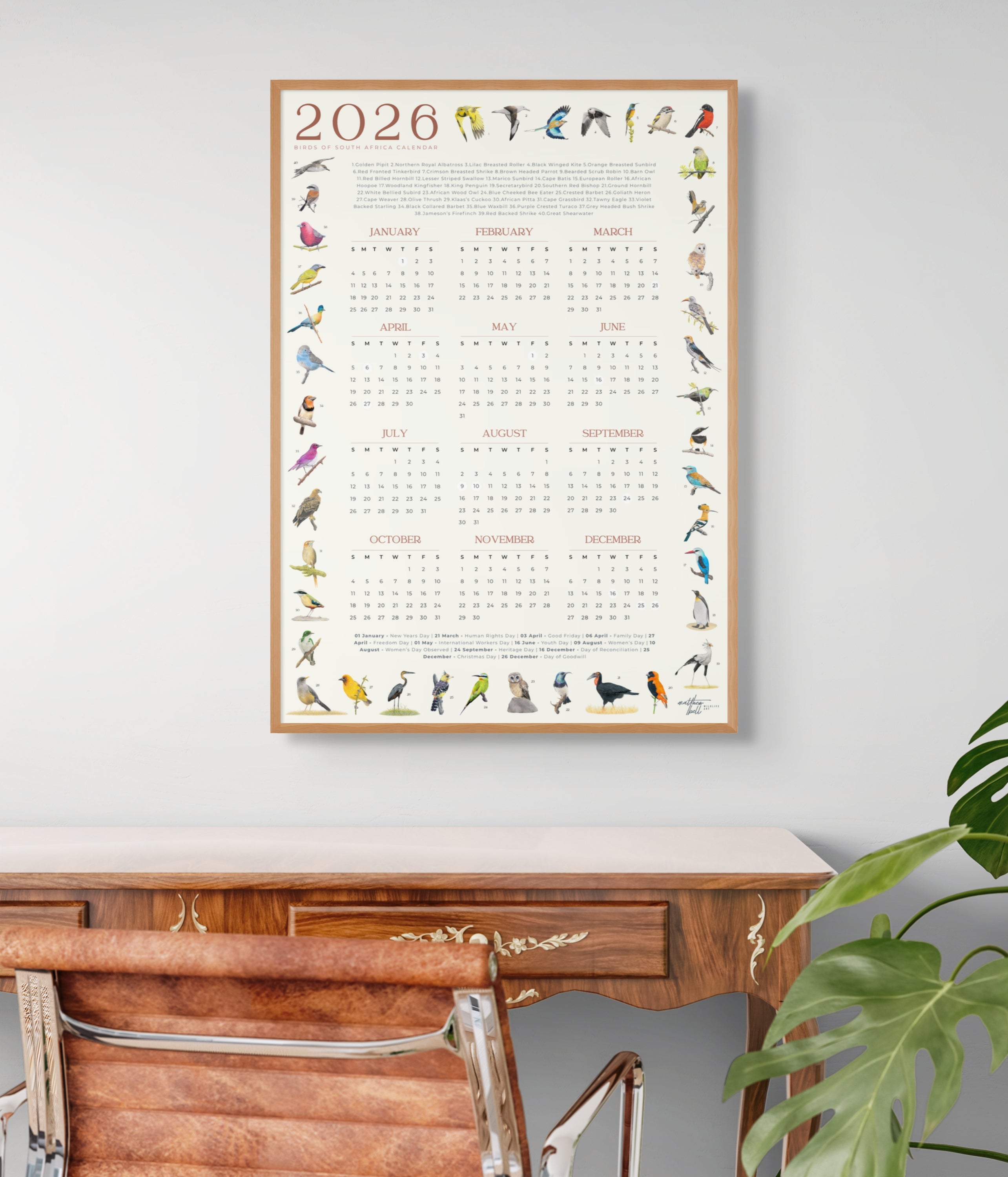 2026 South African bird calendar poster featuring hand-drawn illustrations of 40 native bird species surrounding a clean, minimalist yearly calendar layout on an A2 sheet2026 Suid-Afrikaanse voëlkalender-plakkaat met handgetekende illustrasies van 40 inheemse voëlspesies rondom ’n netjiese, minimalistiese jaarlikse kalenderuitleg op ’n A2-vel
