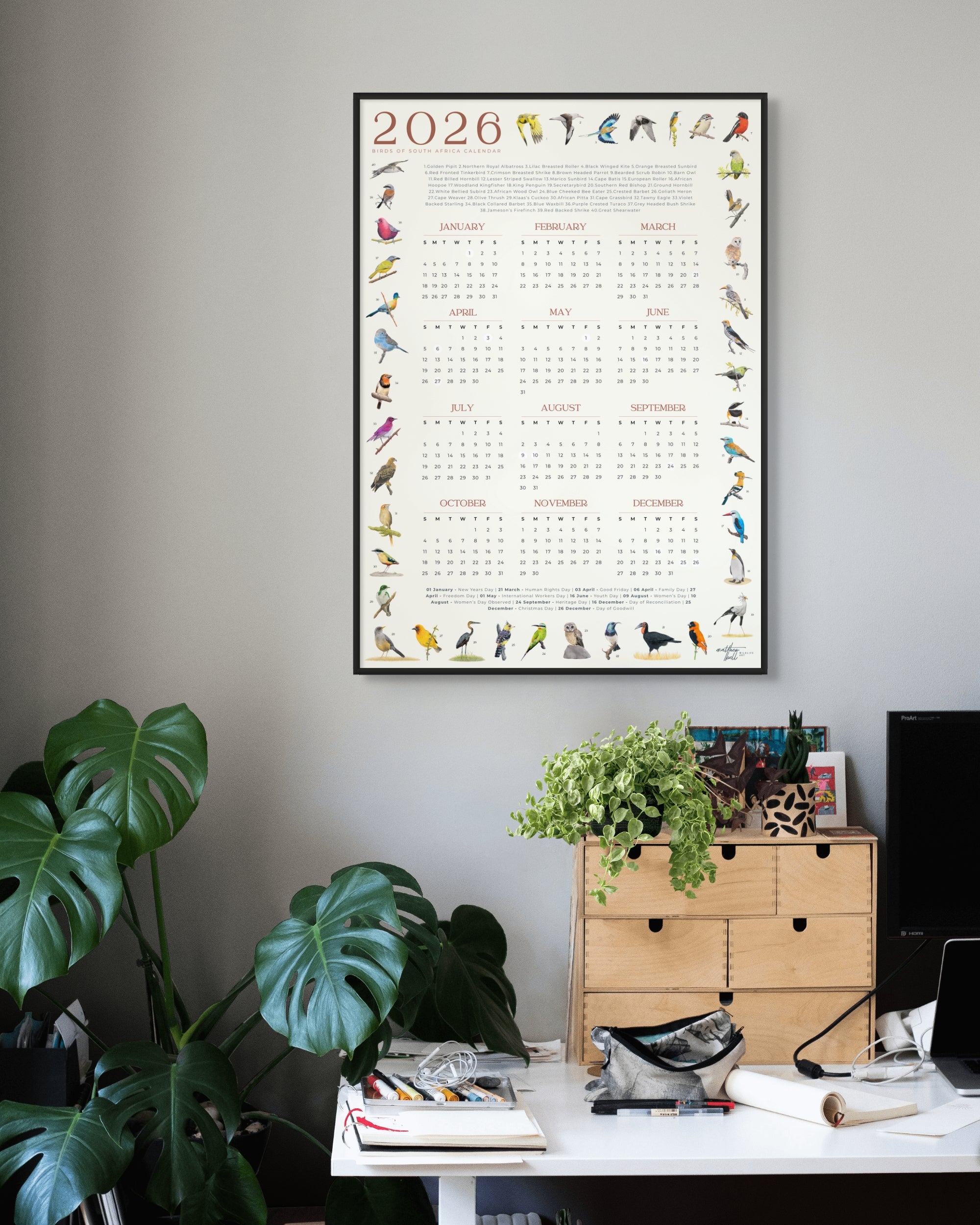 2026 South African bird calendar poster featuring hand-drawn illustrations of 40 native bird species surrounding a clean, minimalist yearly calendar layout on an A2 sheet2026 Suid-Afrikaanse voëlkalender-plakkaat met handgetekende illustrasies van 40 inheemse voëlspesies rondom ’n netjiese, minimalistiese jaarlikse kalenderuitleg op ’n A2-vel