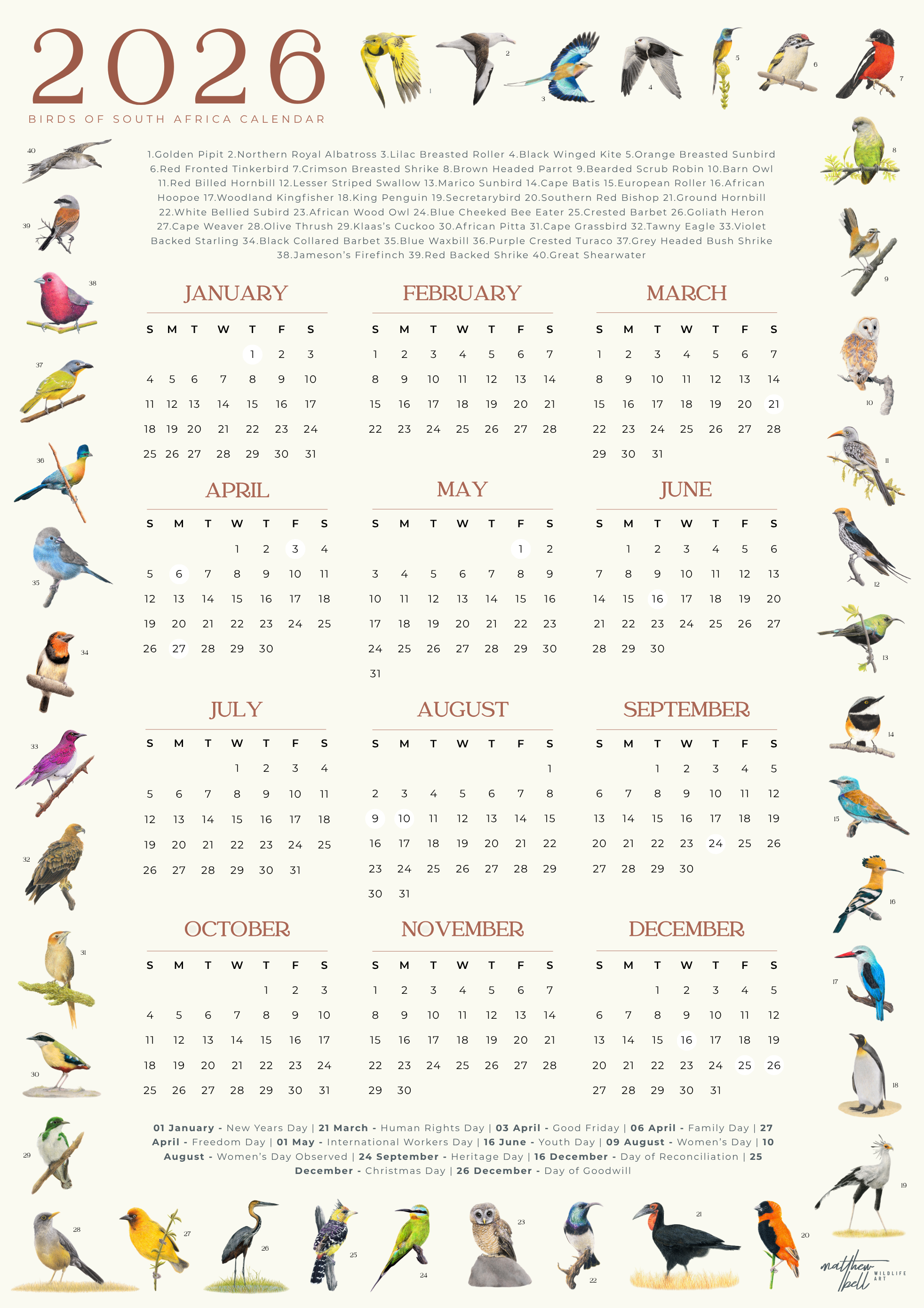 2026 South African bird calendar poster featuring hand-drawn illustrations of 40 native bird species surrounding a clean, minimalist yearly calendar layout on an A2 sheet2026 Suid-Afrikaanse voëlkalender-plakkaat met handgetekende illustrasies van 40 inheemse voëlspesies rondom ’n netjiese, minimalistiese jaarlikse kalenderuitleg op ’n A2-vel