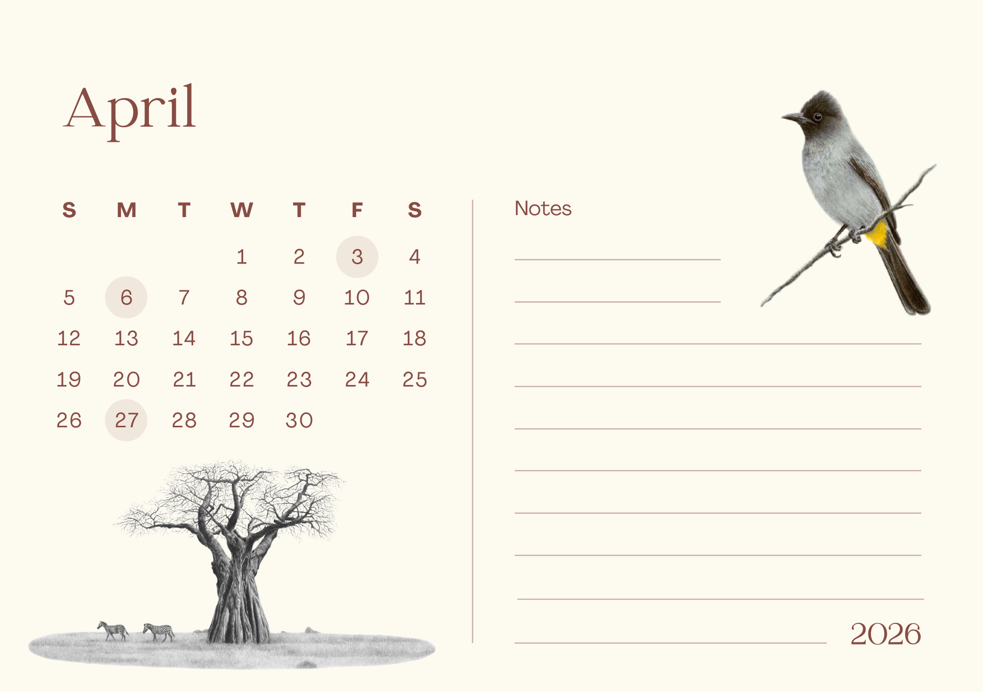 Calendar page for April 2026 with a dark capped bulbul illustration and baobab tree design.
