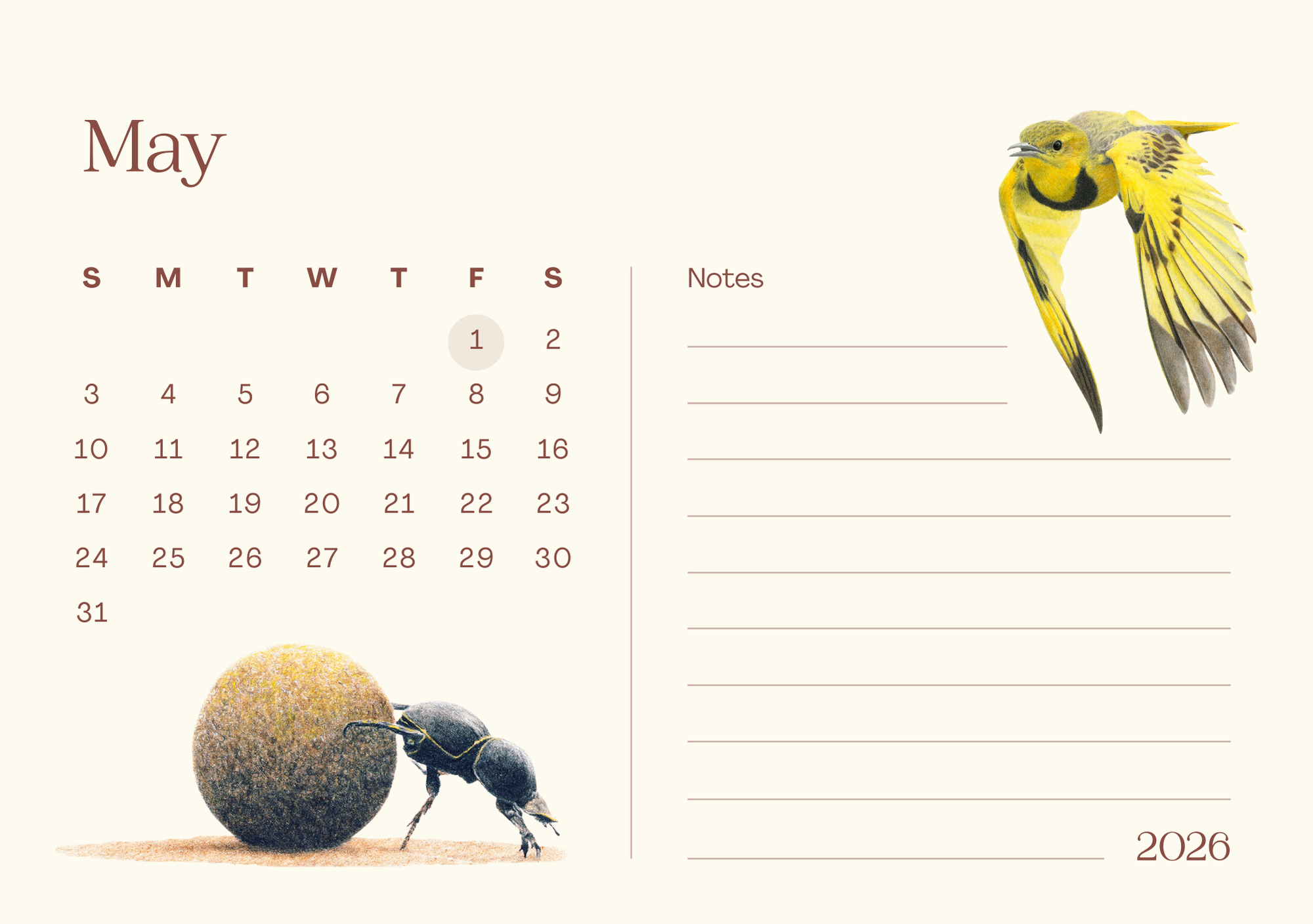 Calendar page for May 2026 with a dung beetle and ball design on the left and a golden pipit on the right.