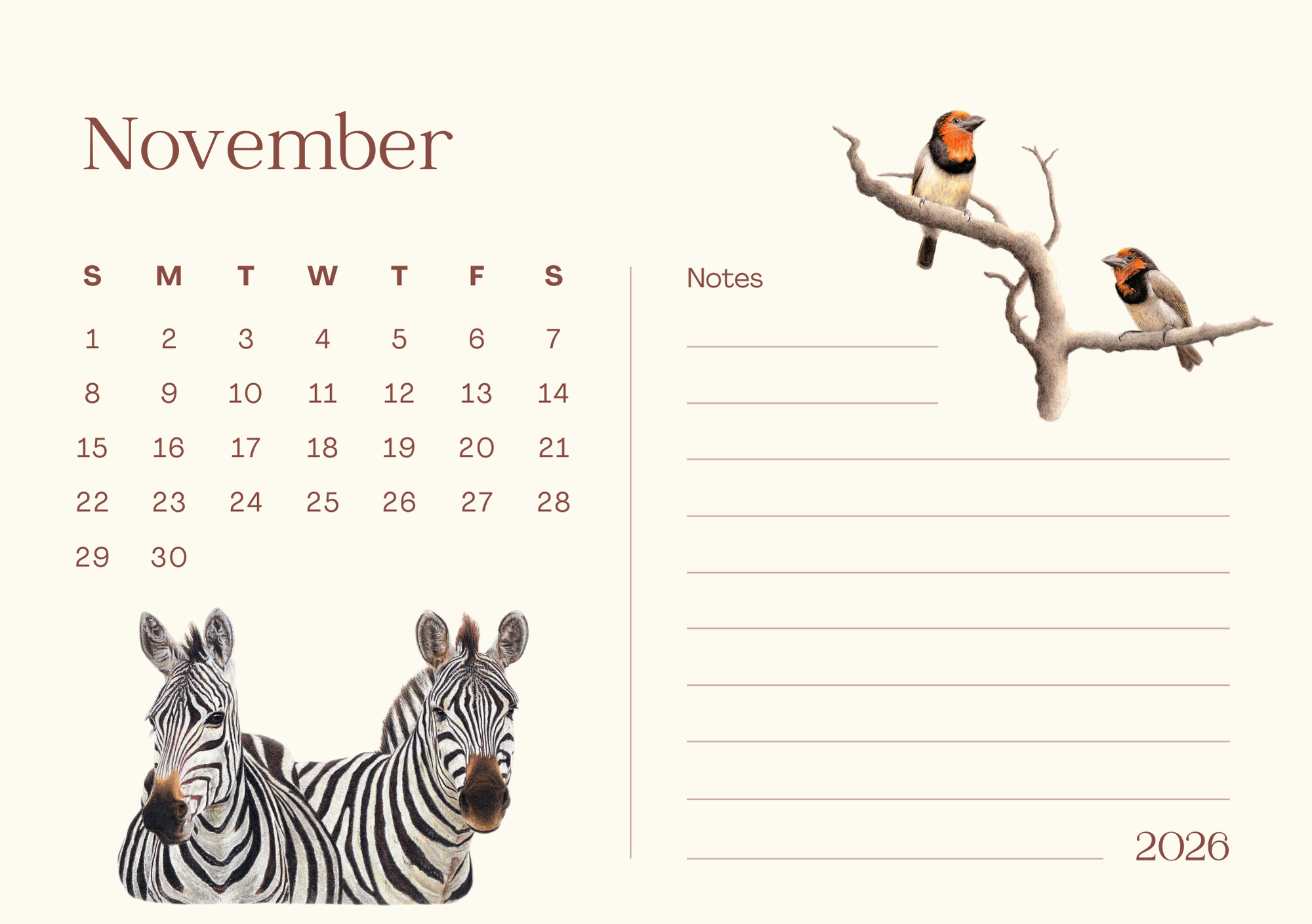 Calendar page for November 2026 with zebra and black collared barbets on a branch.
