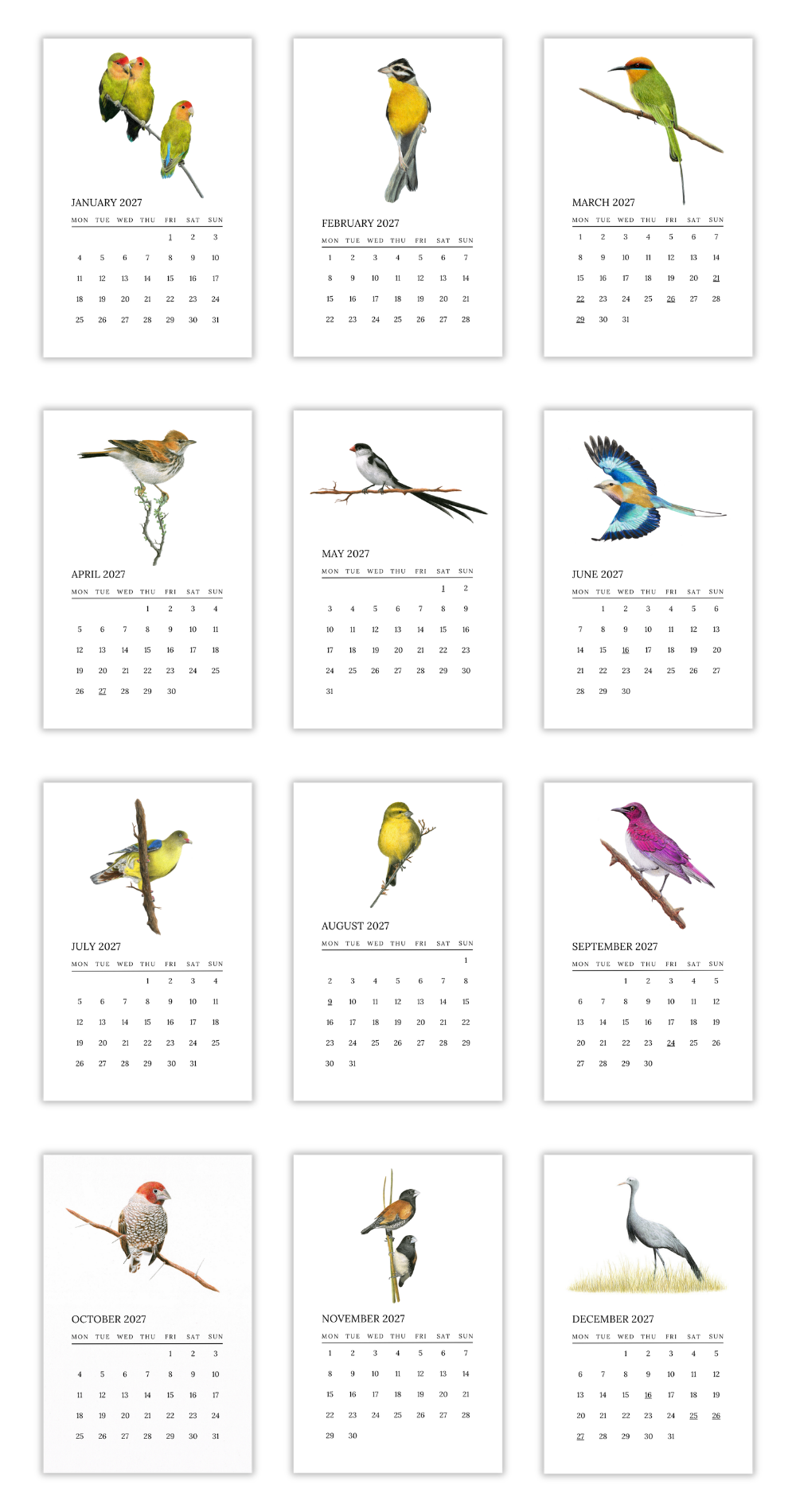 A 12-month bird calendar print showing monthly grids with colorful illustrated birds on white cards against a light gray background.