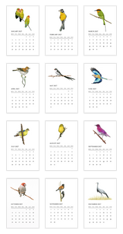 A 12-month bird calendar print showing monthly grids with colorful illustrated birds on white cards against a light gray background.