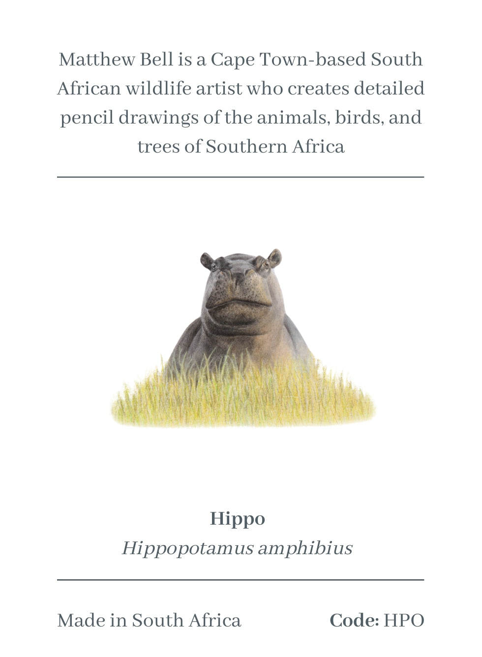 Hippo Magnet - HPO