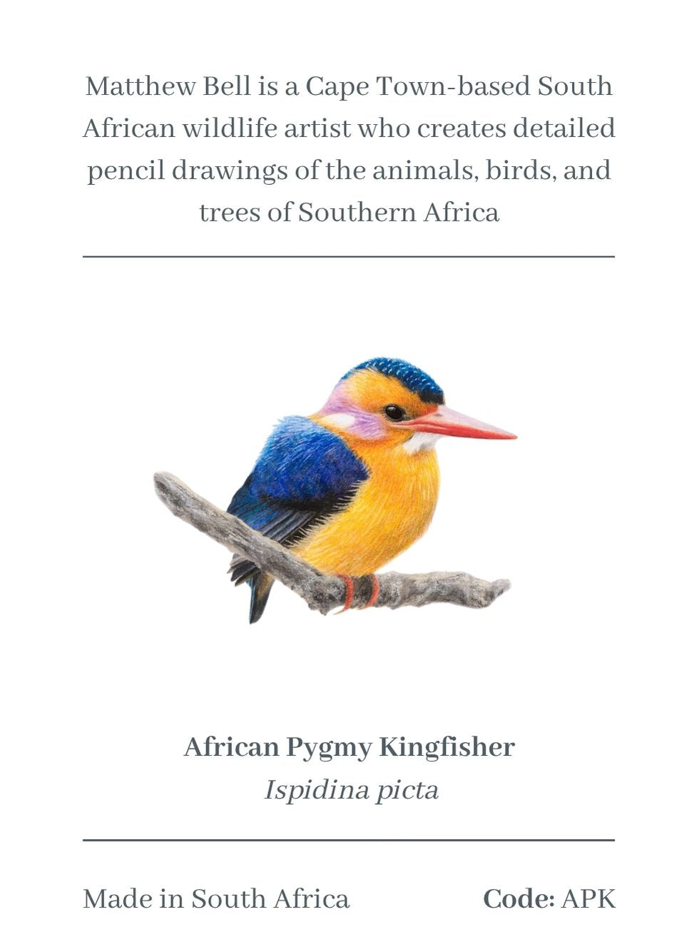 African Pygmy Kingfisher Magnet - APK