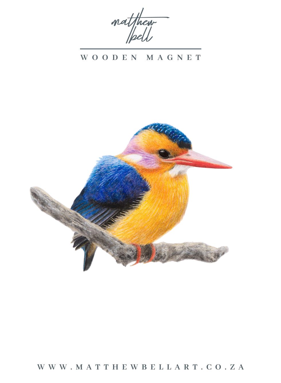 African Pygmy Kingfisher Magnet - APK