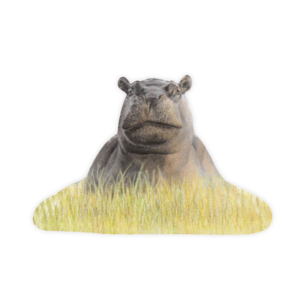 20_e96cfeaf-da2f-4055-b7b6-259f91707ee6.png