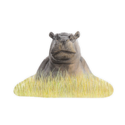 Hippo Magnet - HPO