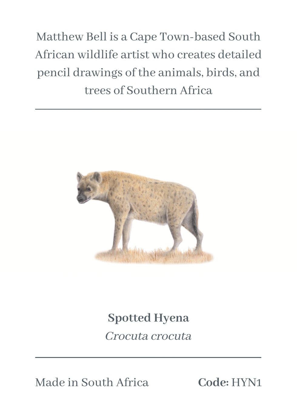 Spotted Hyena Magnet - HYN