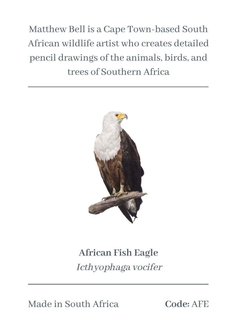 African Fish Eagle Magnet - AFE