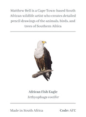 African Fish Eagle Magnet - AFE
