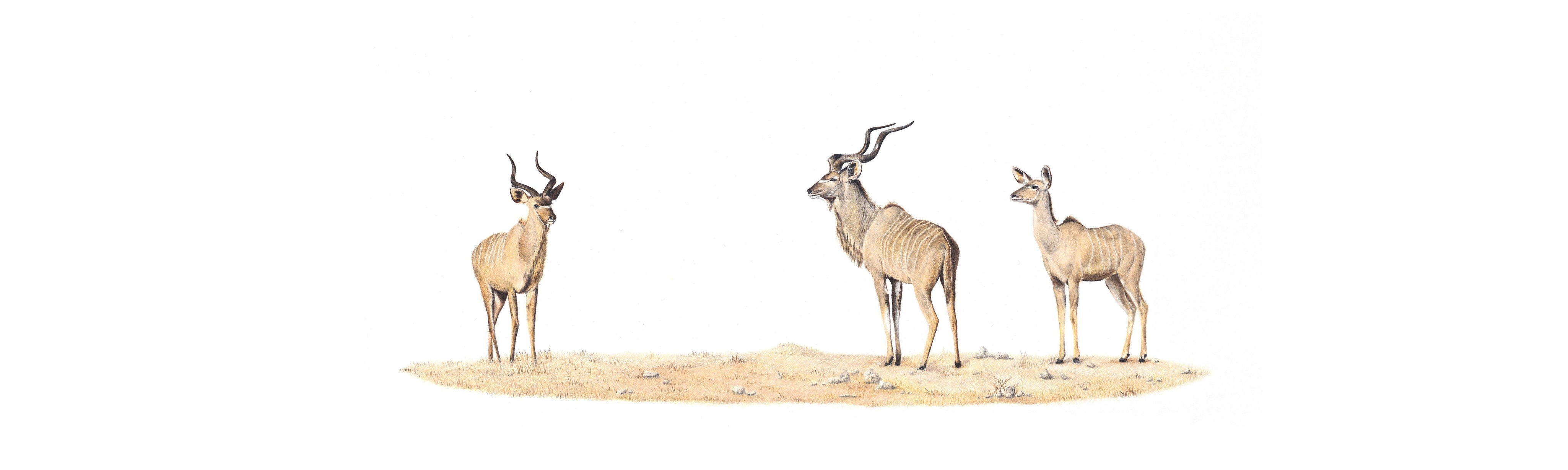 Kudus Panorama