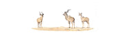 Kudus Panorama