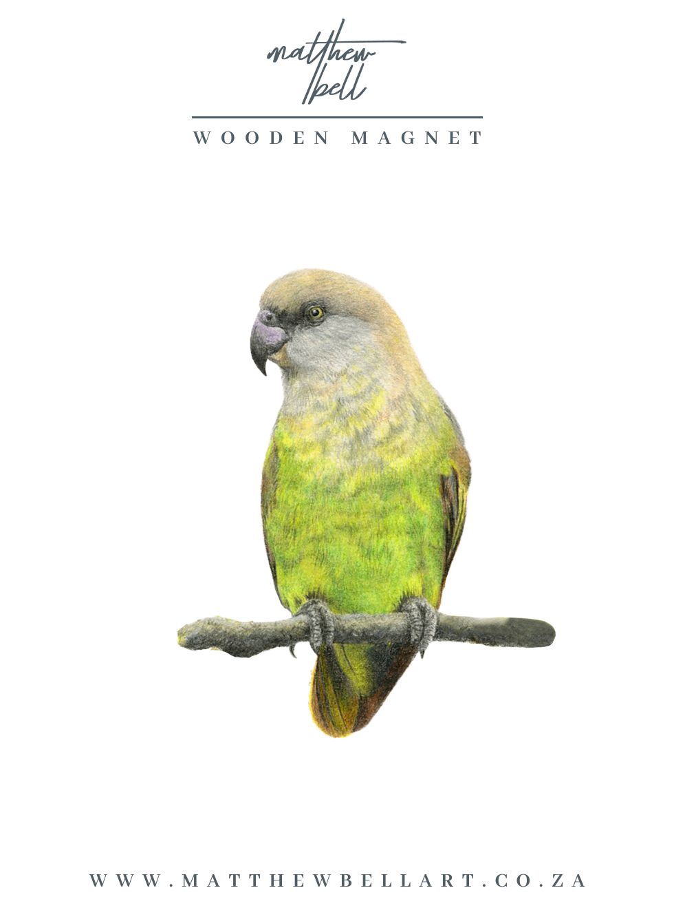 Brown Headed Parrot Magnet - BHP