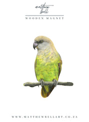 Brown Headed Parrot Magnet - BHP