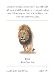 Male Lion Magnet - LN1