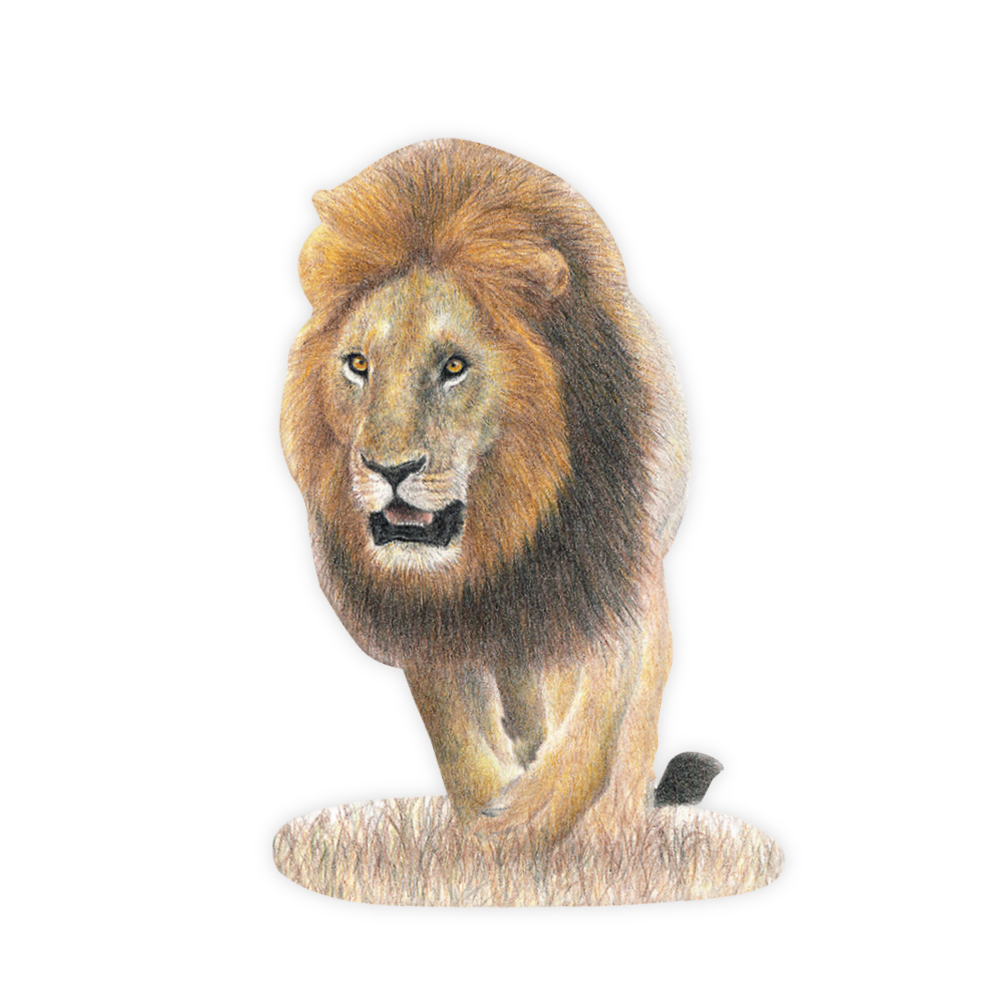 23_ea3467dc-f021-4061-bade-ee934c75bc8f.png