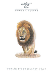 Male Lion Magnet - LN1