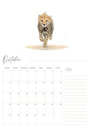 2025 premium quality South African animals hanging wall calendar showing wildlife artwork by artist Matthew Bell including Elephant, Giraffe, Serval, Hippo, Cheetah, Pangolin, Rhino, Springbok, Zebra, Dung Beetles