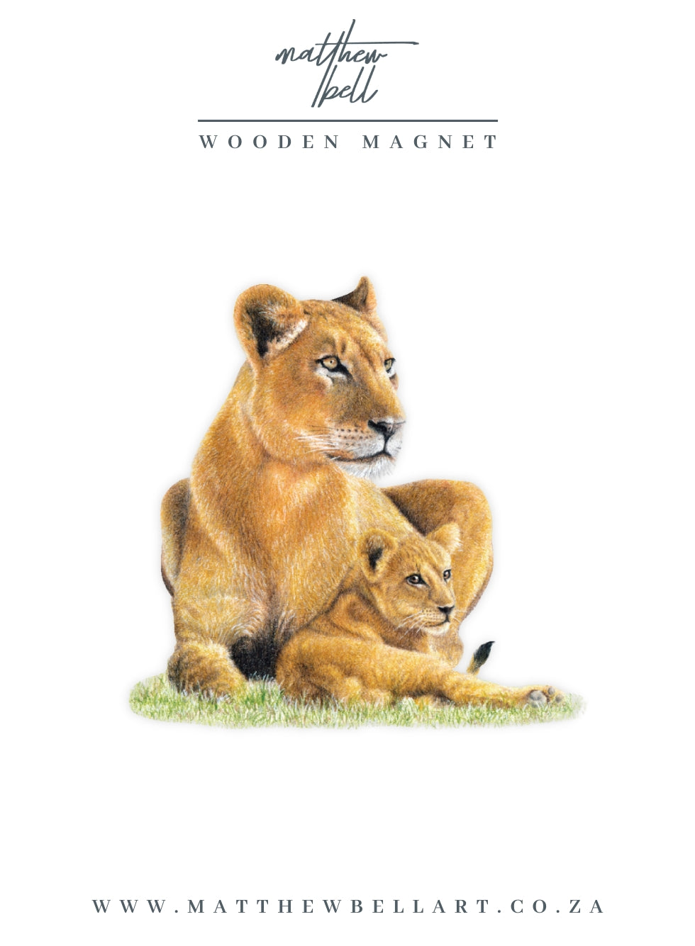 Lioness Magnet - LN2