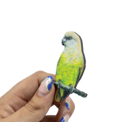 Brown Headed Parrot Magnet - BHP