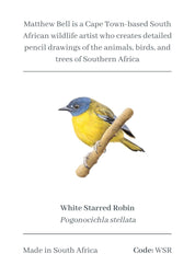 White Starred Robin Magnet - WSR