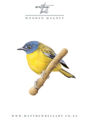 White Starred Robin Magnet - WSR