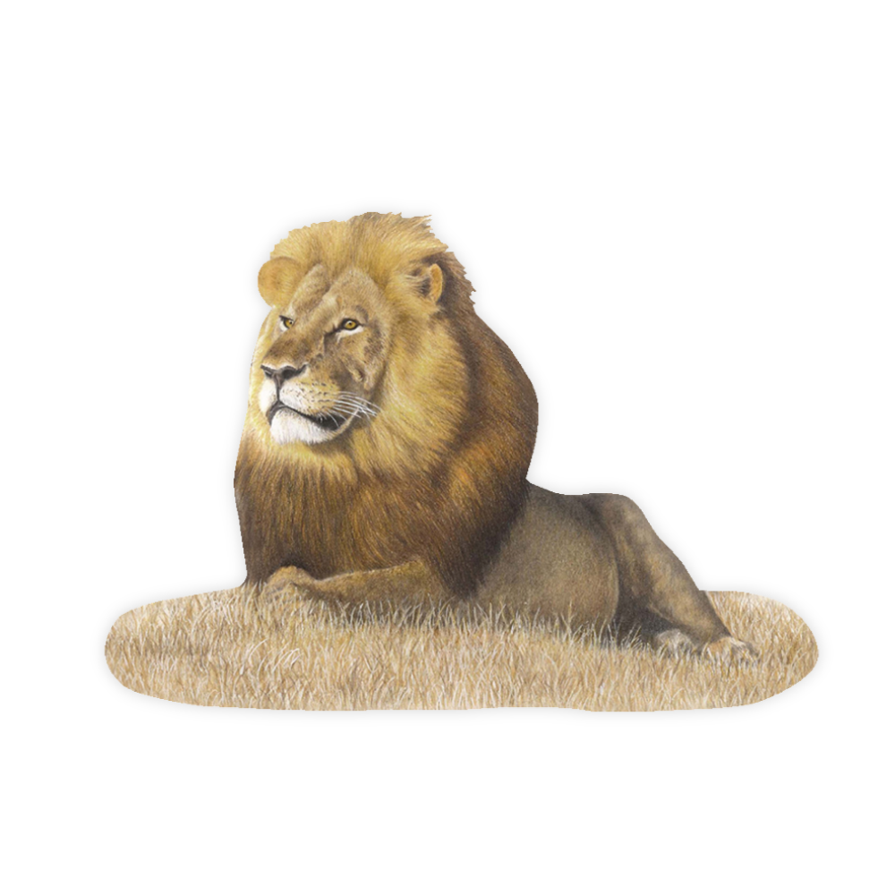 25_41b3c2e9-5827-4617-ae74-9a79c8af500d.png