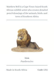 Male Lion Magnet - LN3