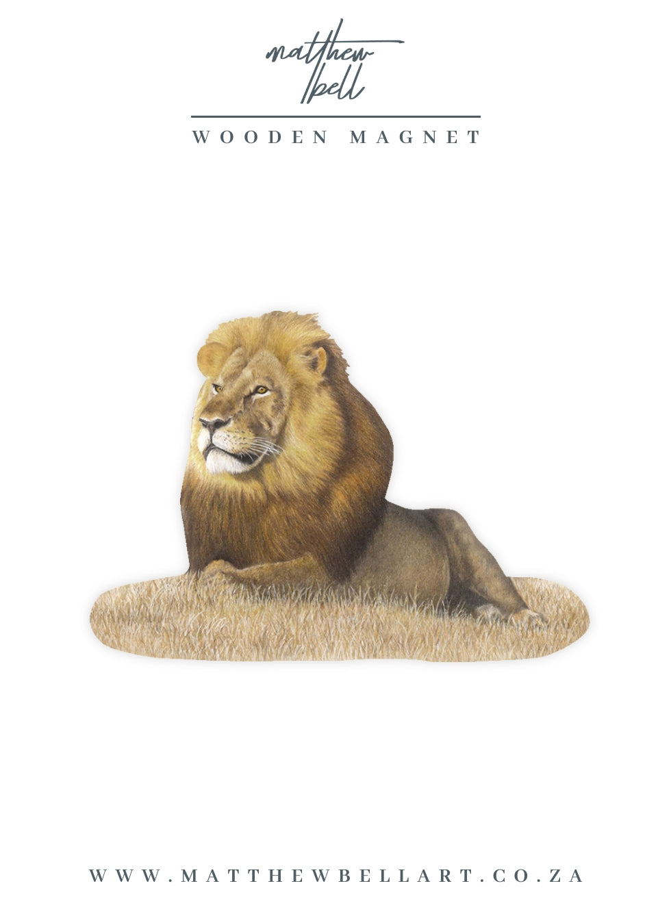 Male Lion Magnet - LN3