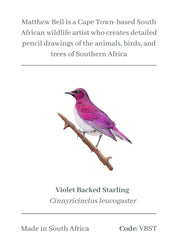 Violet Backed Starling Magnet - VBST
