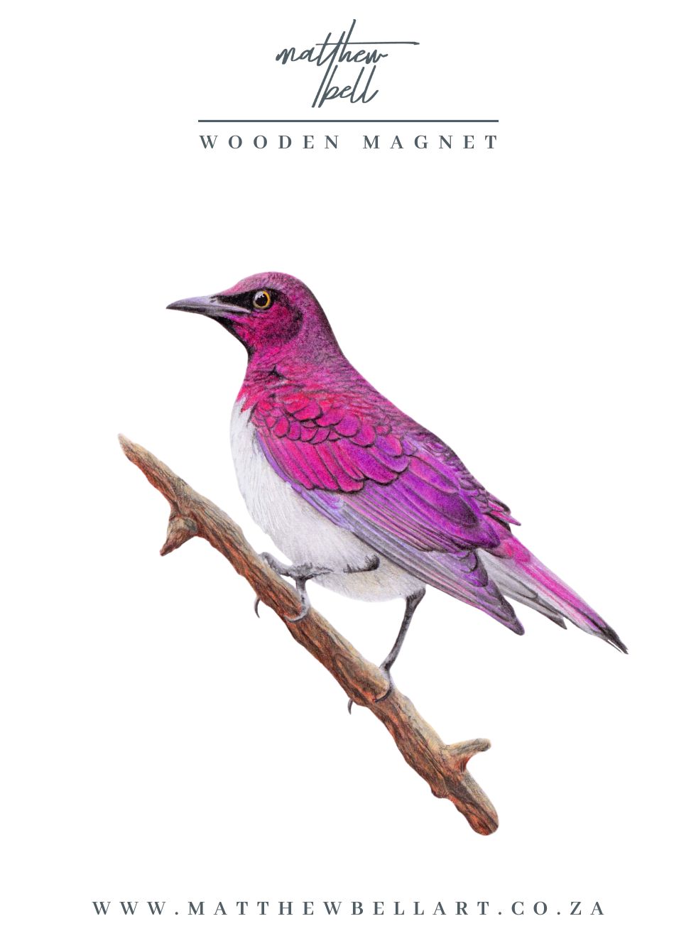 Violet Backed Starling Magnet - VBST