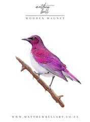 Violet Backed Starling Magnet - VBST
