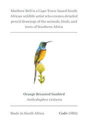 Orange Breasted Sunbird Magnet - OBS2